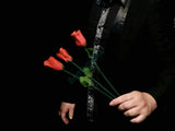 Multiplying Torches to Roses  -- Close Up Magic, Stage Magic, Magic Trick-New Arrival